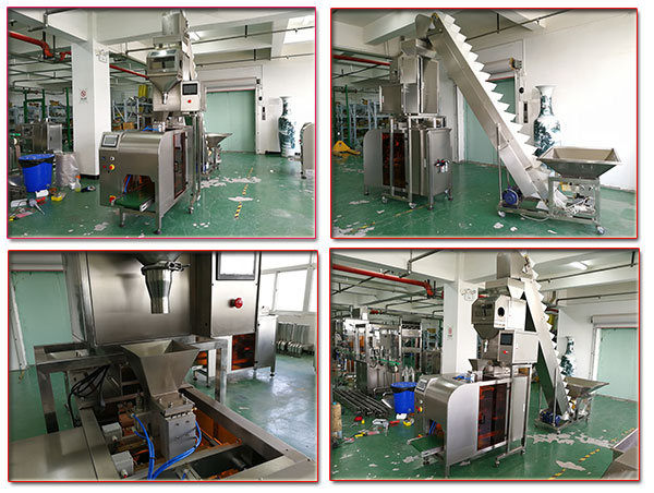 枣干食品包装机械设备/全自动枣干包装生产线
